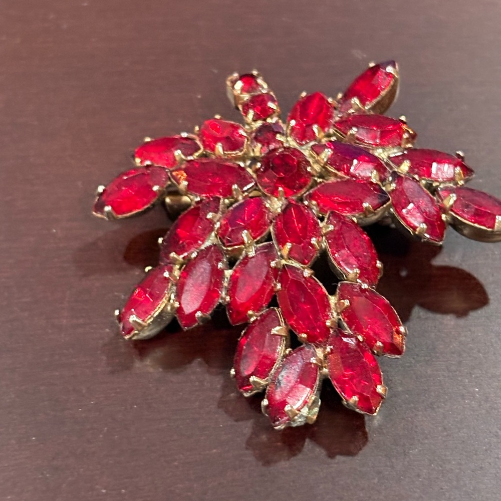 Elegant Red Gemstone Brooch